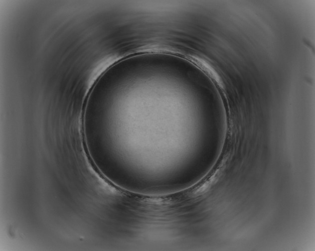 X0000091880855200709051322