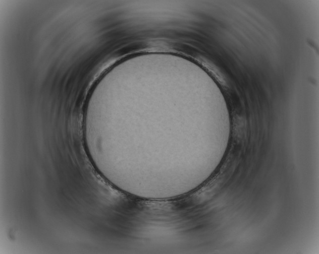 X0000091880856200709051322