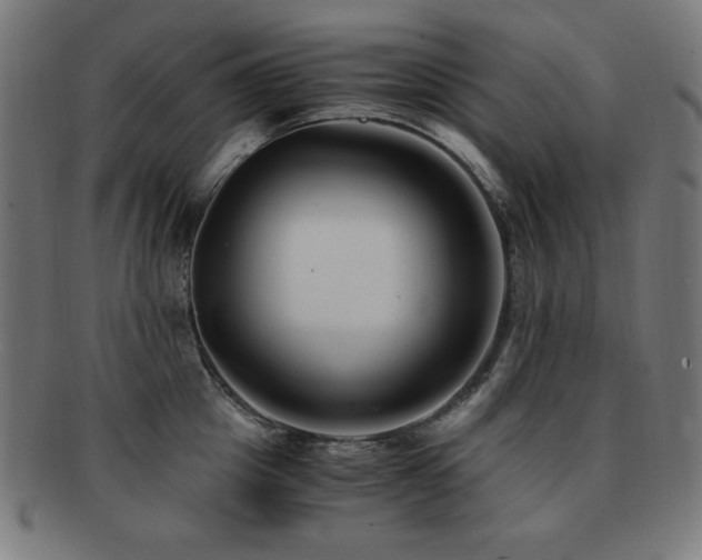 X0000091880857200709051322