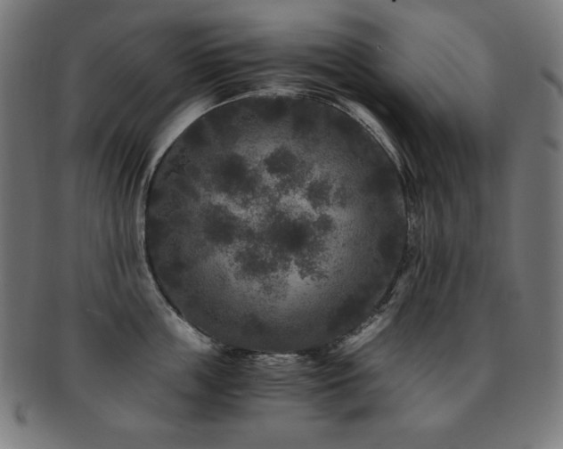 X0000091880859200709051322