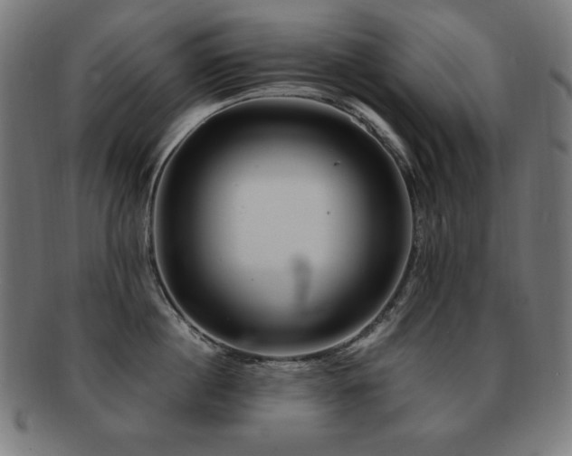 X0000091880860200709051322