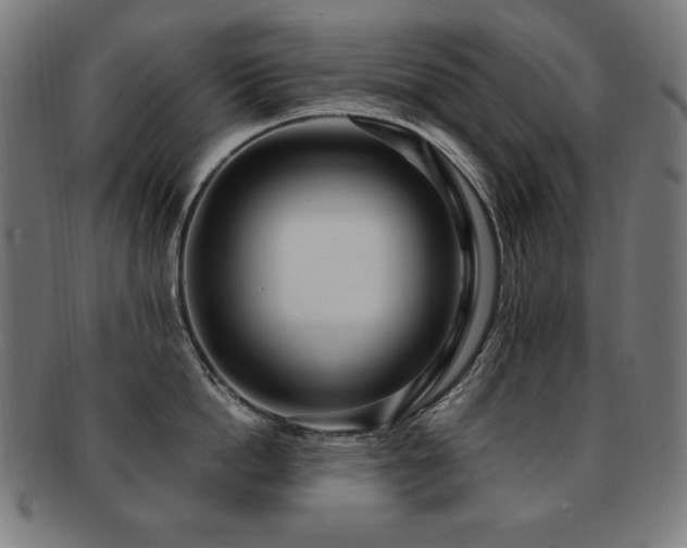 X0000091880862200709051322