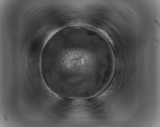 X0000091880863200709051322