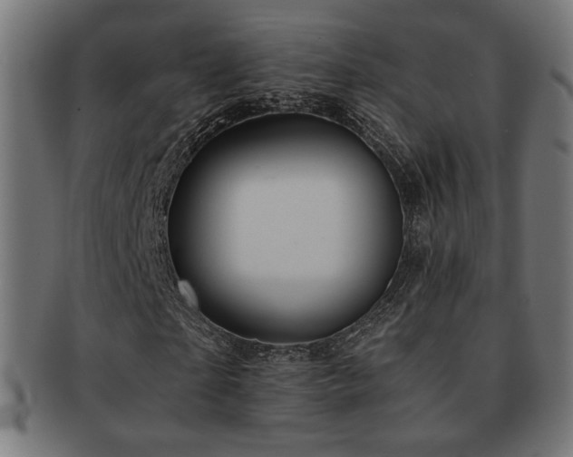 X0000091880865200709051322