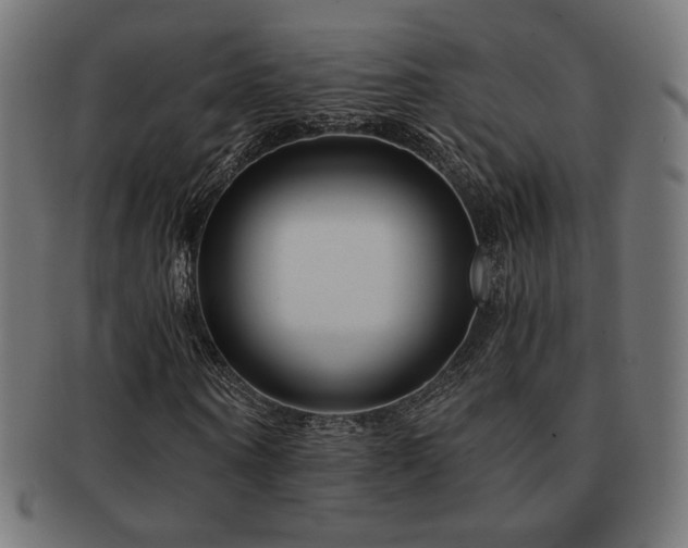 X0000091880866200709051322