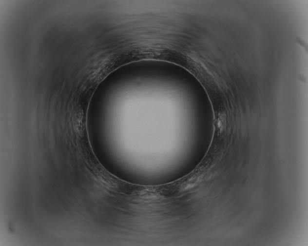 X0000091880867200709051322