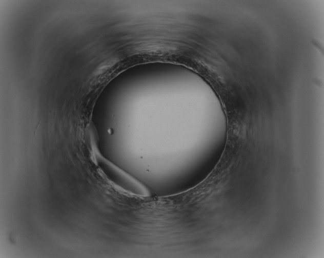 X0000091880869200709051322