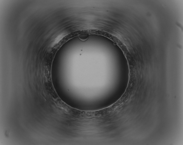 X0000091880871200709051322