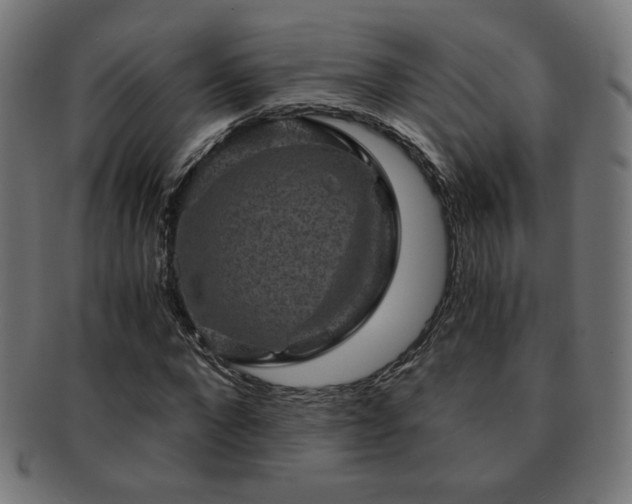 X0000091880872200709051322
