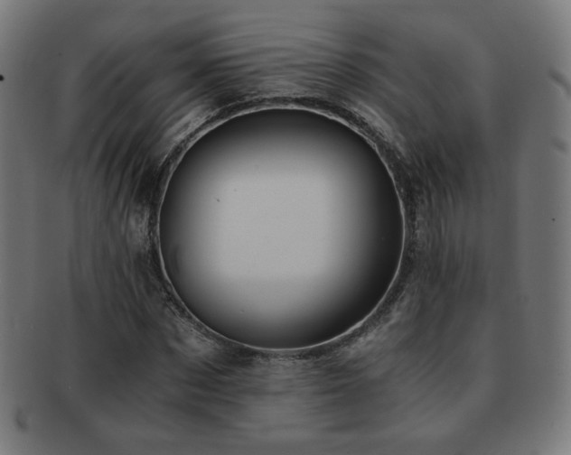 X0000091880873200709051322
