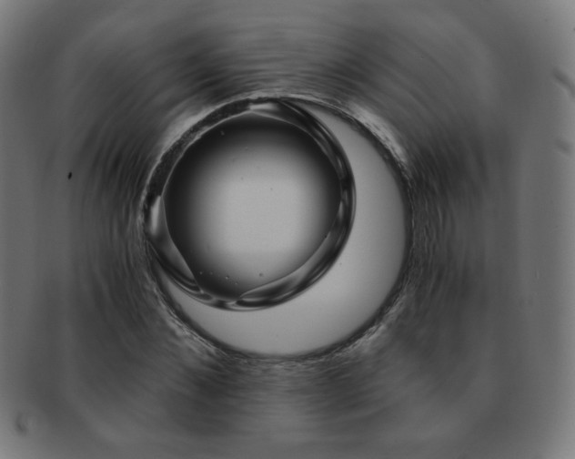 X0000091880876200709051322