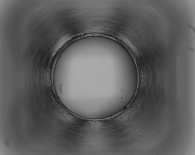 X0000091880878200709051322