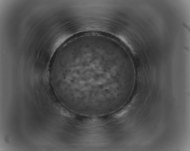 X0000091880879200709051322
