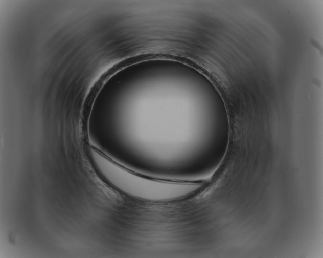 X0000091880880200709051322