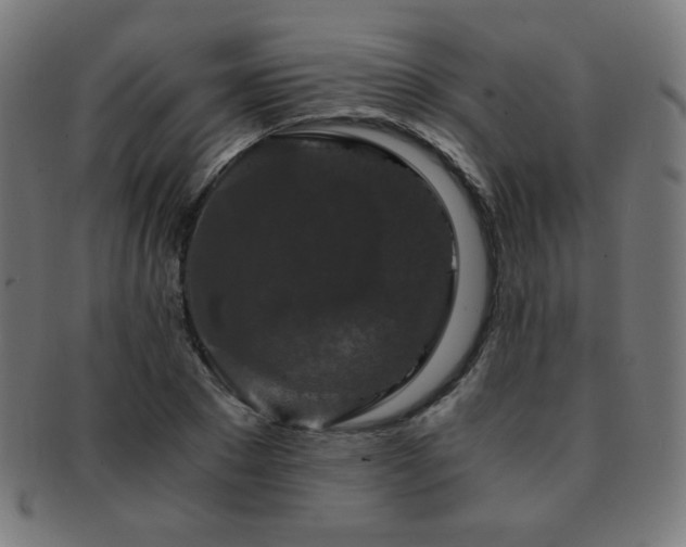 X0000091880881200709051322