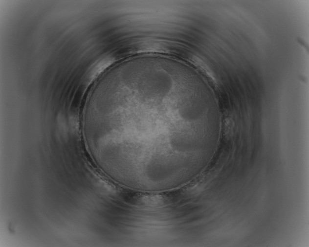 X0000091880882200709051321