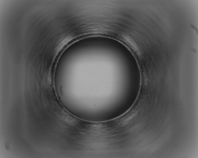 X0000091880883200709051321