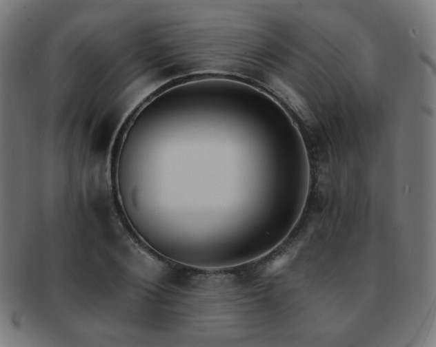 X0000091880884200709051321