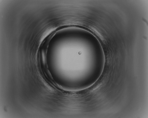 X0000091880885200709051321