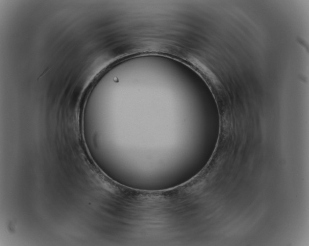 X0000091880886200709051321