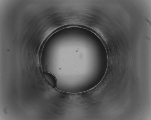 X0000091880887200709051321