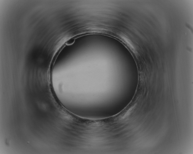 X0000091880891200709051321