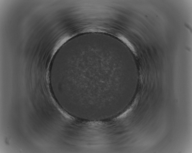 X0000091880893200709051321