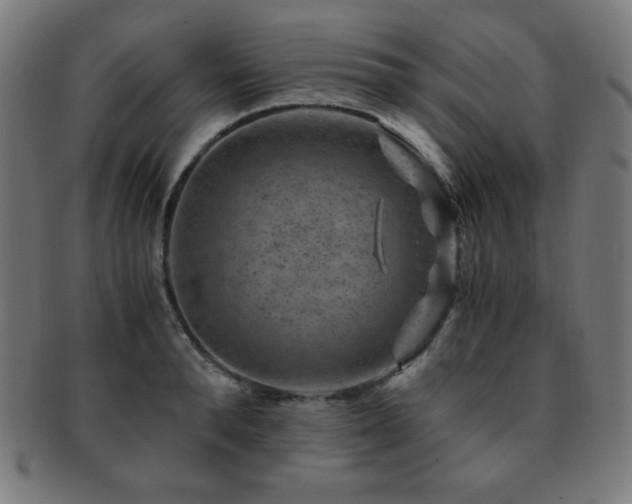 X0000091880896200709051321