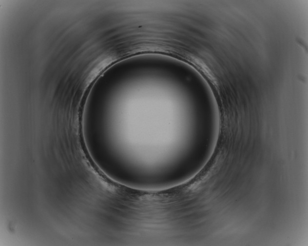 X0000091880898200709051321