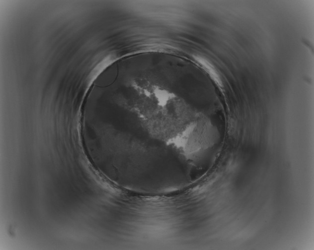 X0000091880899200709051321