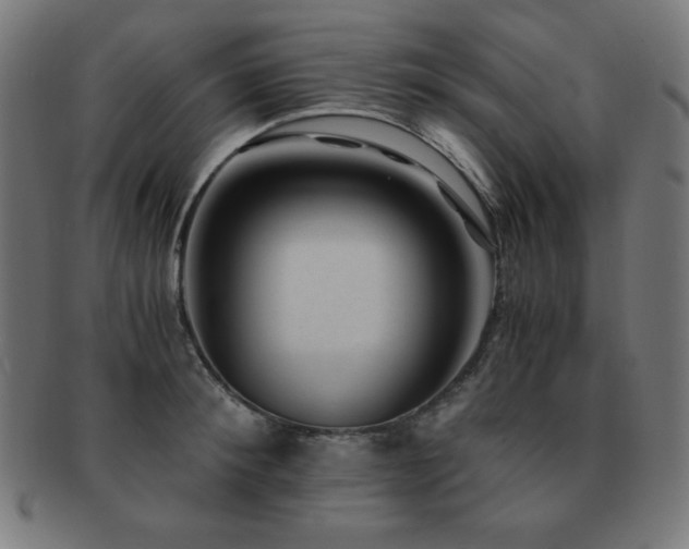 X0000091880900200709051321