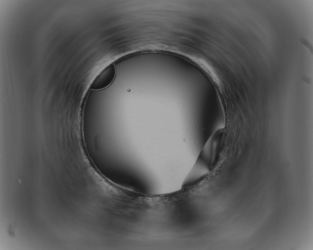 X0000091880903200709051321