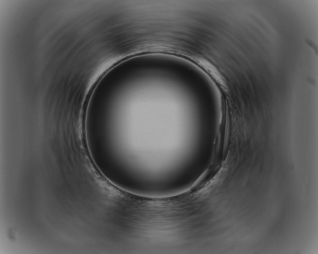 X0000091880904200709051321