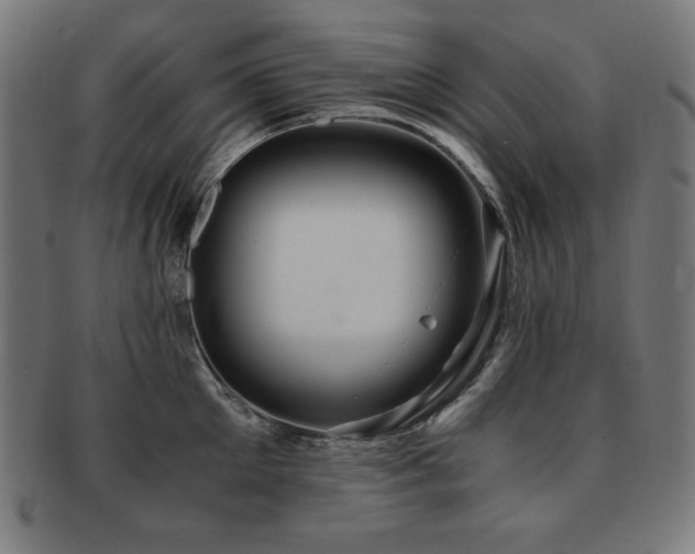 X0000091880905200709051321