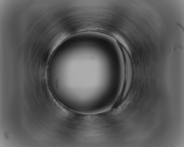 X0000091880906200709051321