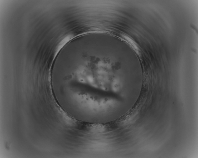 X0000091880907200709051321