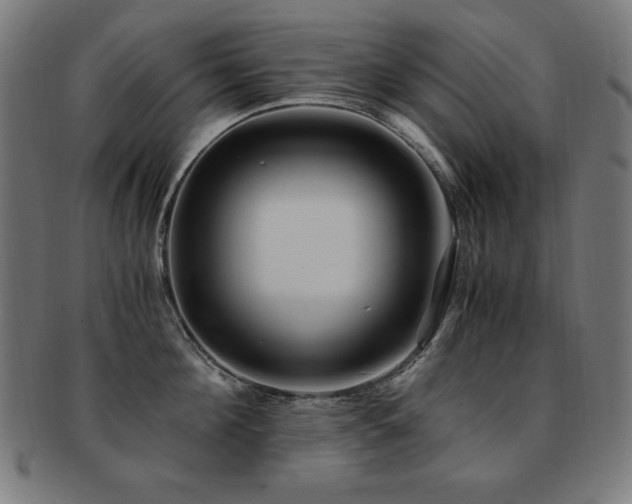 X0000091880908200709051321