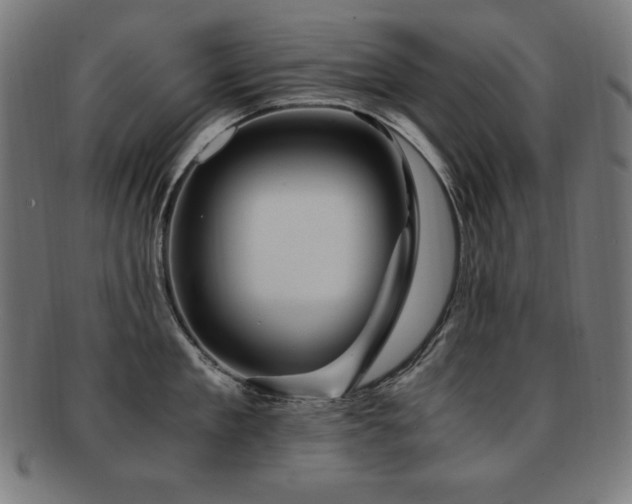 X0000091880909200709051321