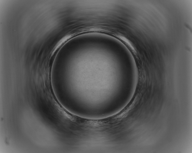 X0000091880910200709051321
