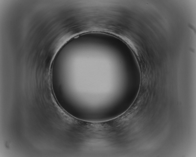 X0000091880911200709051321