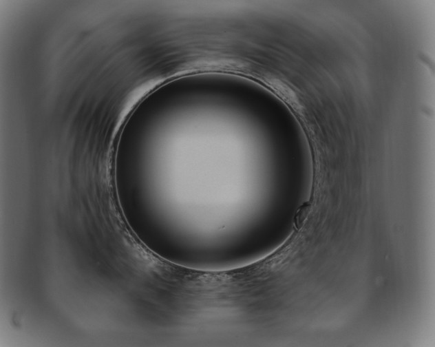 X0000091880912200709051321