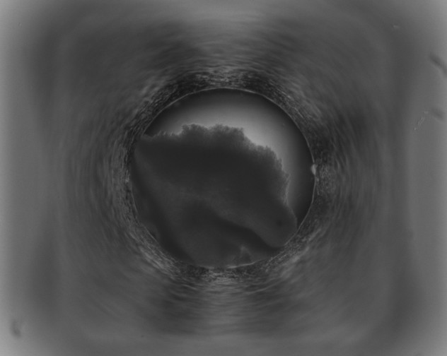 X0000091880913200709051321