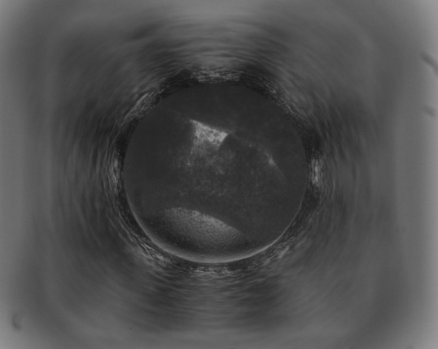 X0000091880915200709051321