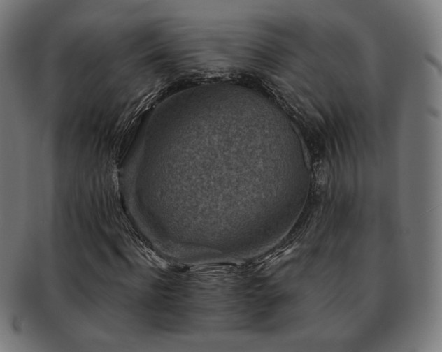 X0000091880916200709051321