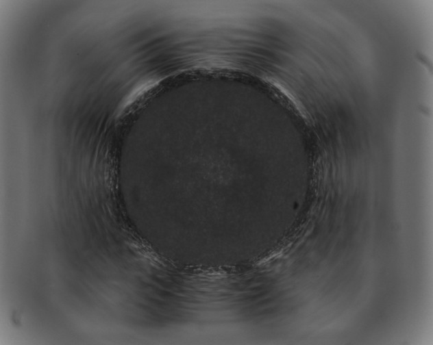 X0000091880919200709051321