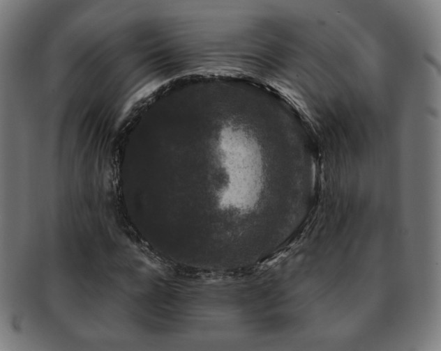 X0000091880920200709051321