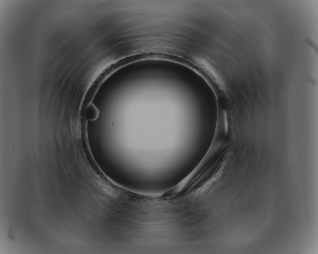 X0000091880924200709051321