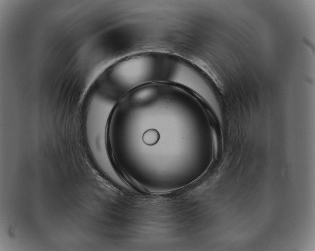 X0000091880926200709051321