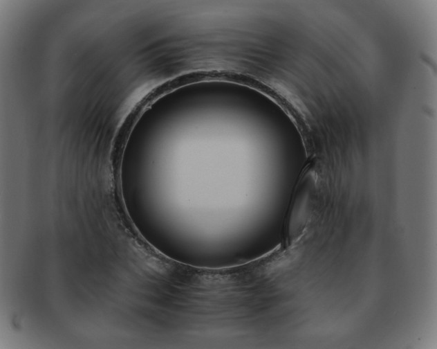 X0000091880927200709051321