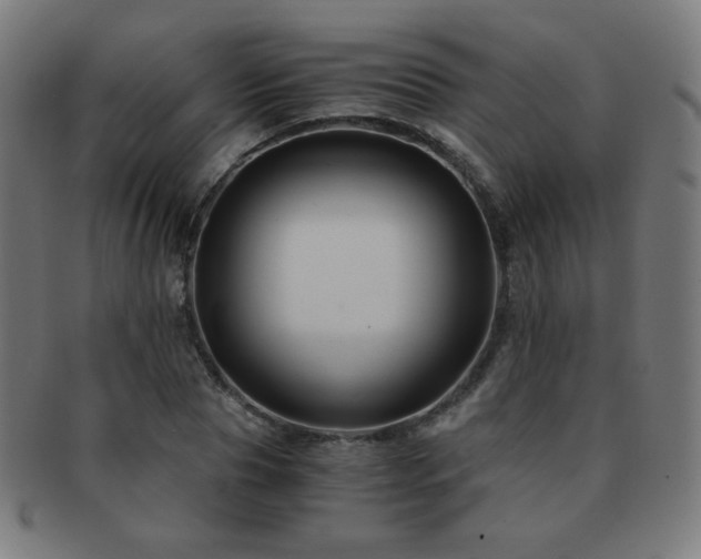 X0000091880929200709051321